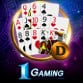 13 Cards Dealer
